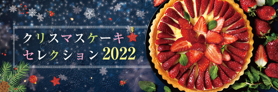 チョコクリーム－岐阜のクリスマスケーキならココ！－クリスマスケーキ・セレクション 2022