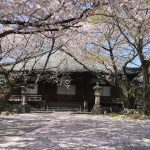 桜の隠れた名所